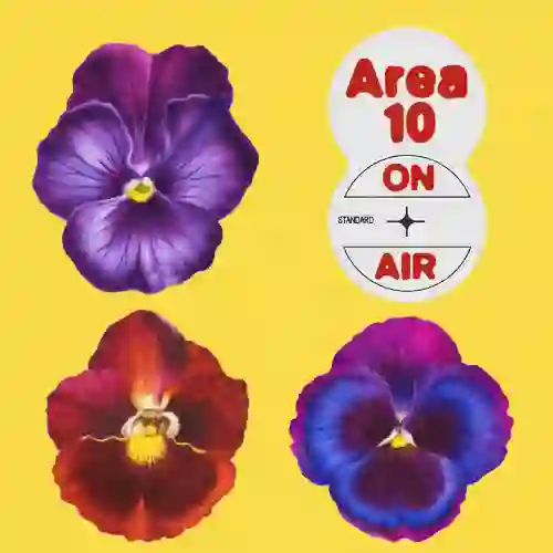 MK - AREA10 ON AIR