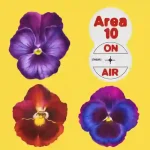 MK - AREA10 ON AIR